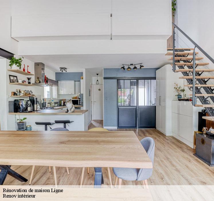 d&eacute;couvrez nos conseils et solutions pour r&eacute;ussir votre r&eacute;novation int&eacute;rieure. inspirez-vous d'id&eacute;es d&eacute;coratives, trouvez des astuces pratiques et donnez une nouvelle vie &agrave; votre habitat facilement.